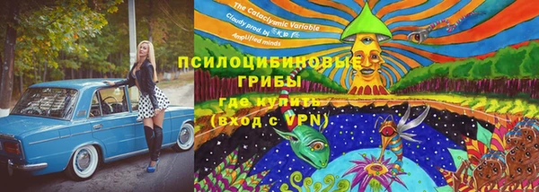 круглые Нефтекумск